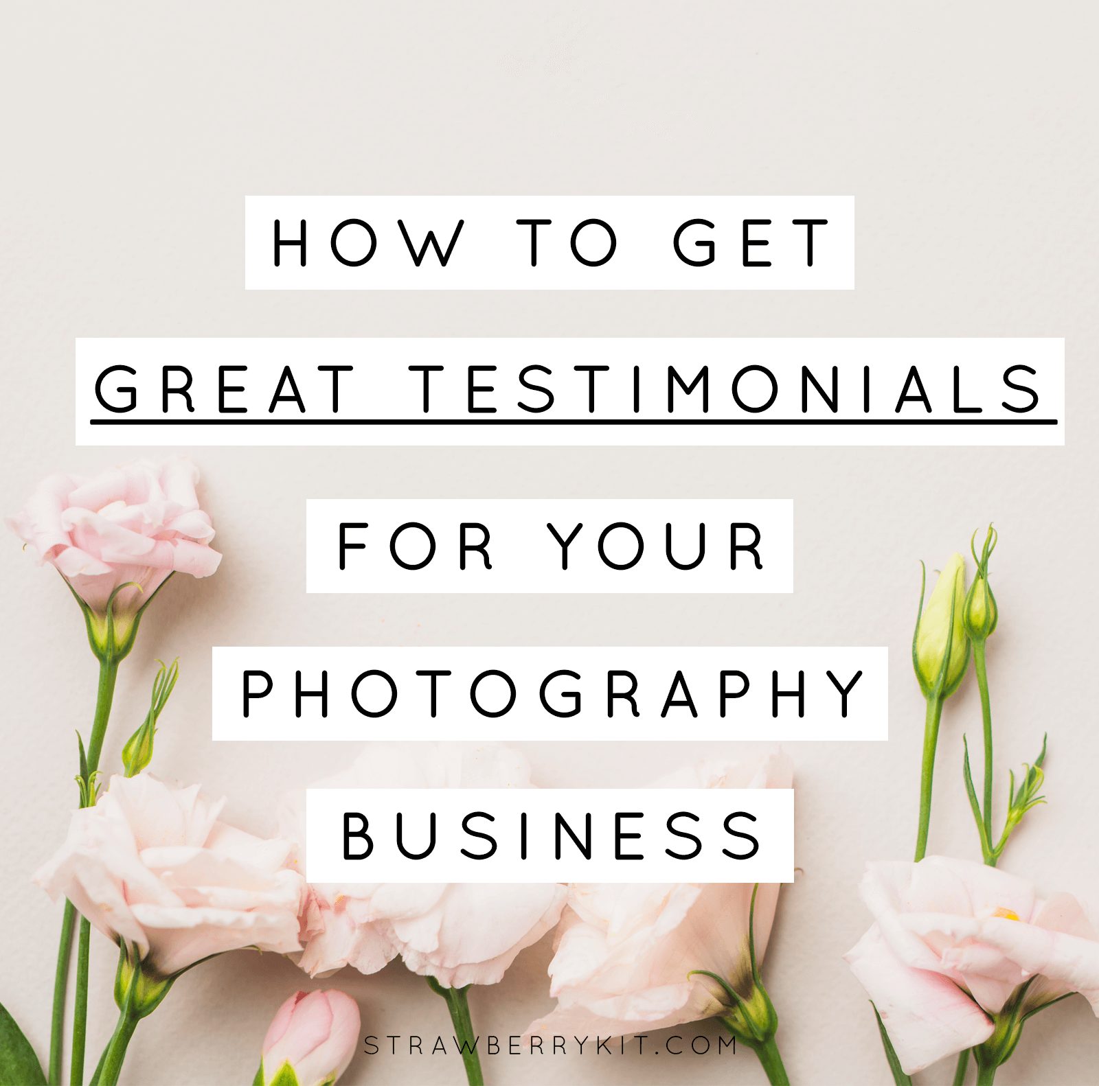 Testimonials Photography Business