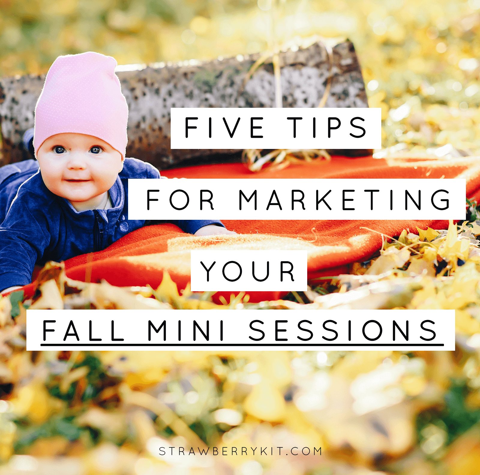 Fall mini sessions tips