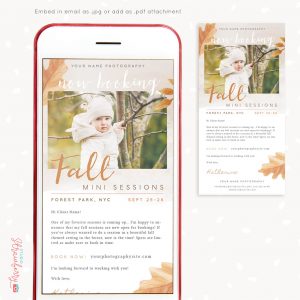 Fall mini sessions email newsletter template