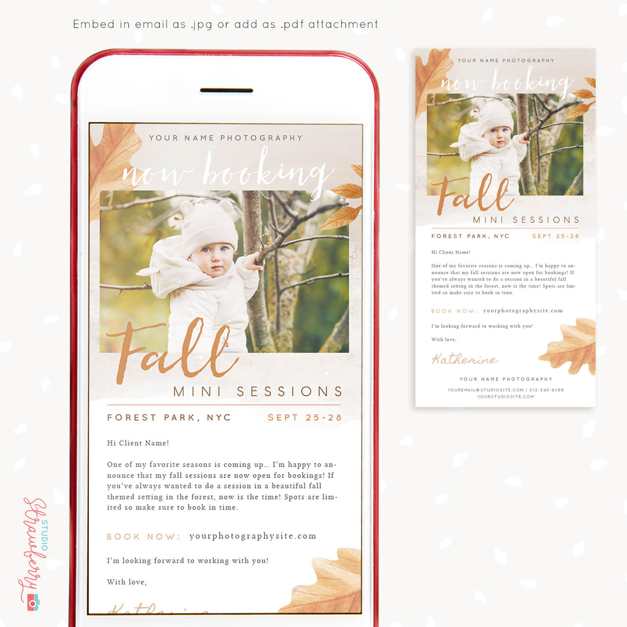 Fall mini sessions email newsletter template