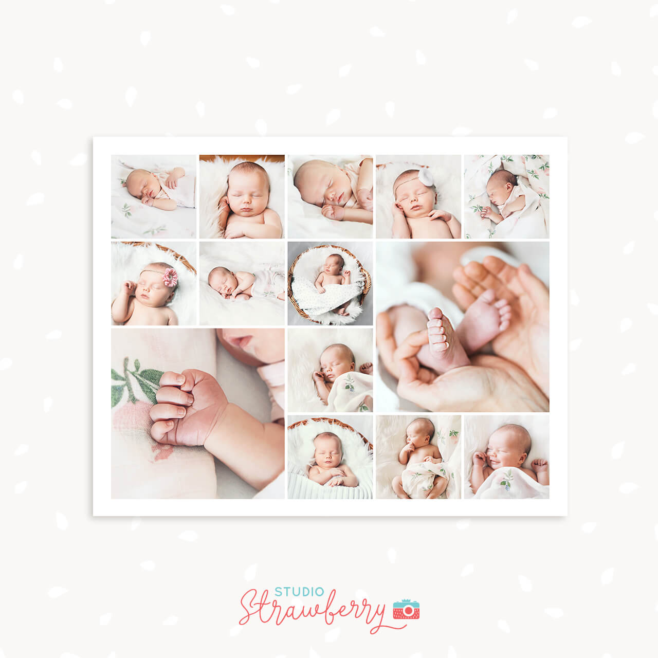 8x10 Newborn collage template close ups