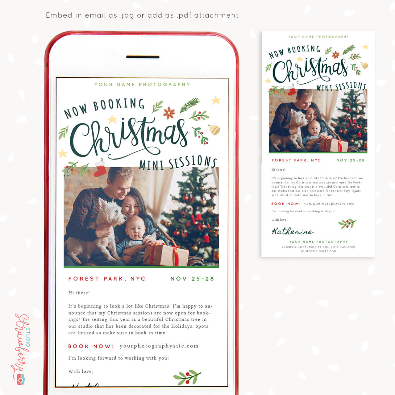 Christmas mini sessions email template