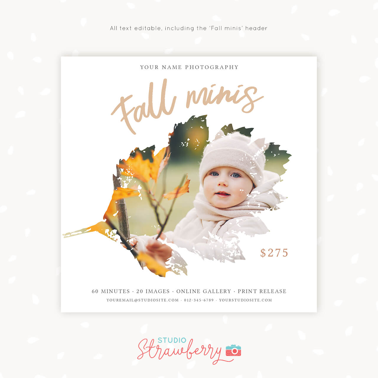 Fall mini sessions autumn minis