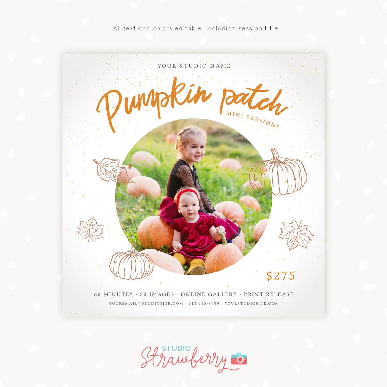 Pumpkin patch mini sessions marketing template