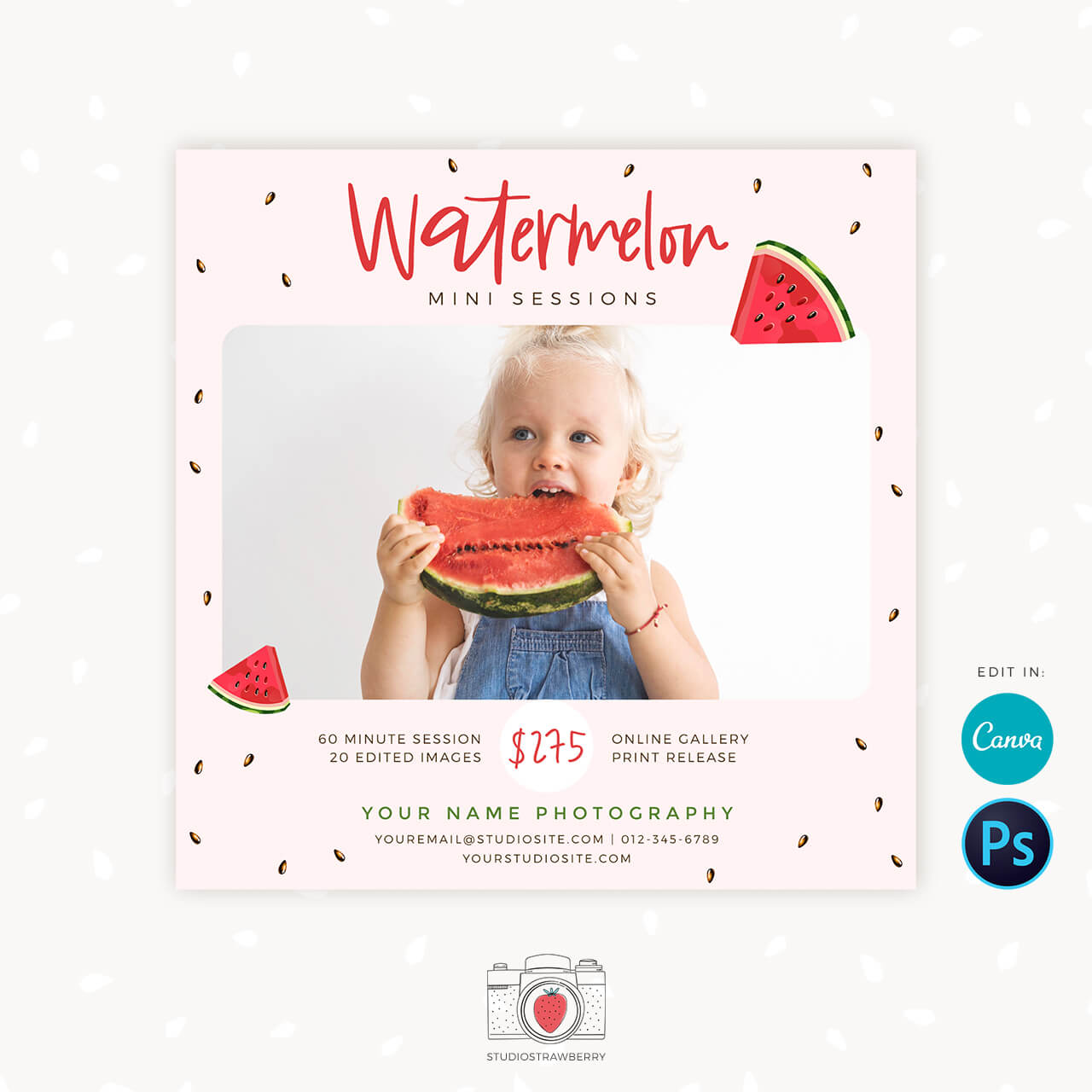 Watermelon mini sessions canva template