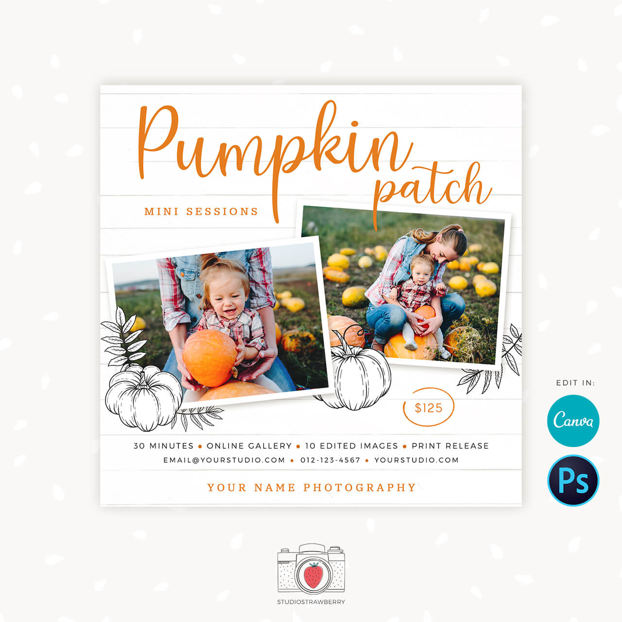 Pumpkin patch mini sessions template canva
