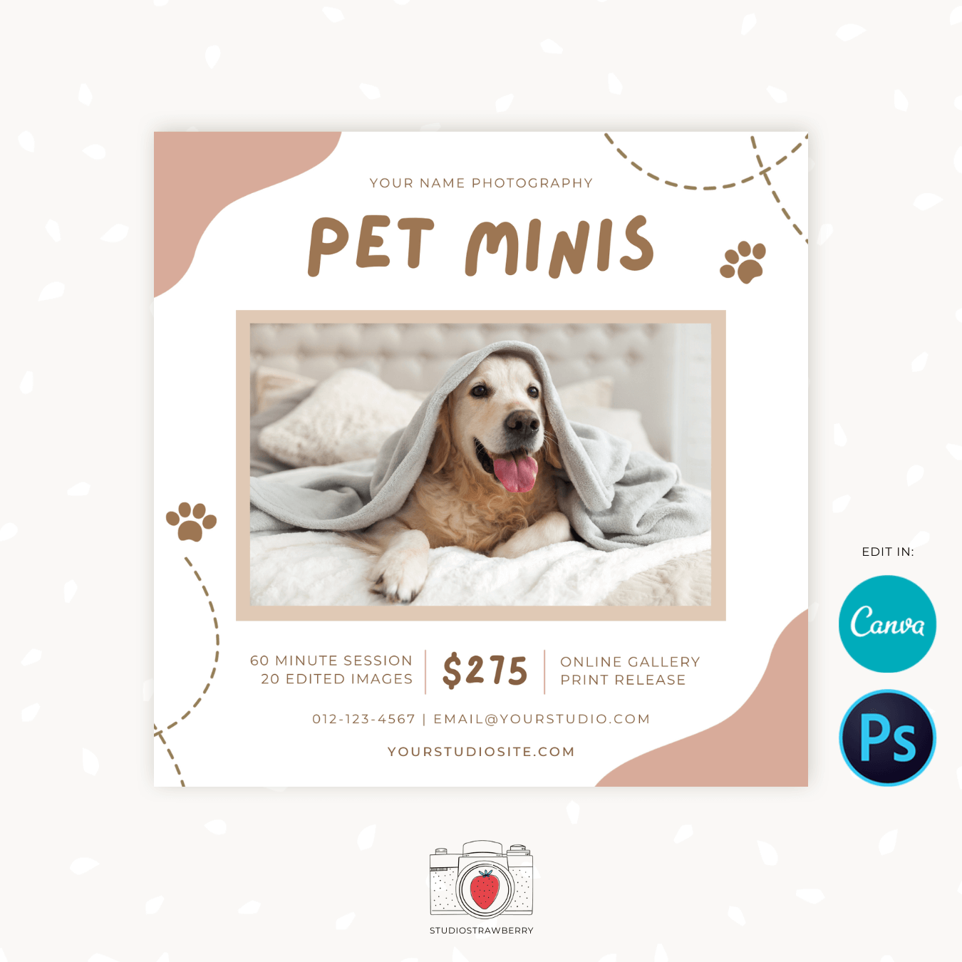 Pet mini sessions template Canva Photoshop